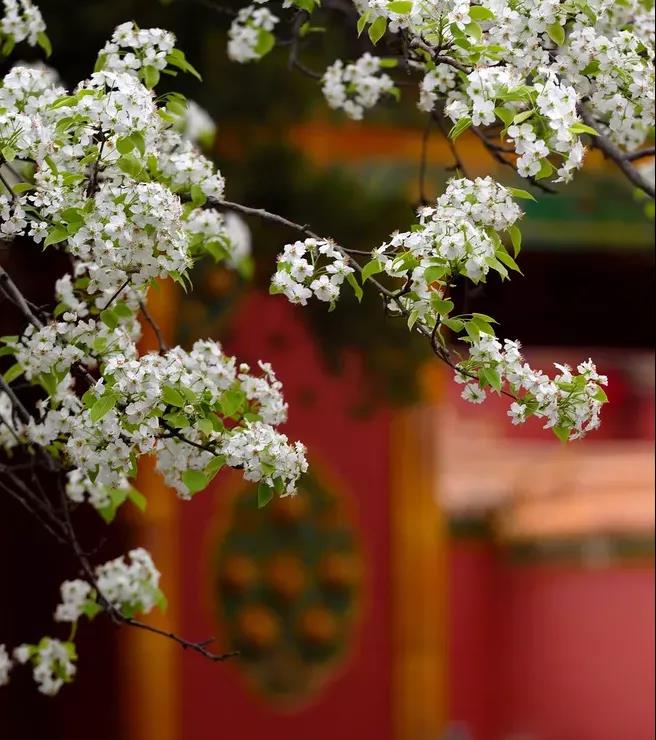 臺群精機5月展會一覽，等您來參觀！